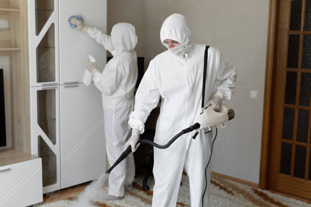 Best Attic Mold Removal  in Holly Hills, CO