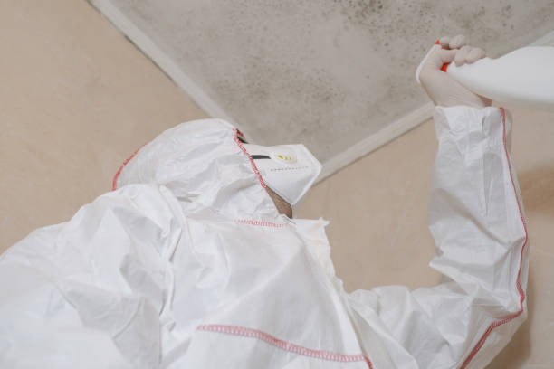 Best Residential Mold Removal  in Holly Hills, CO